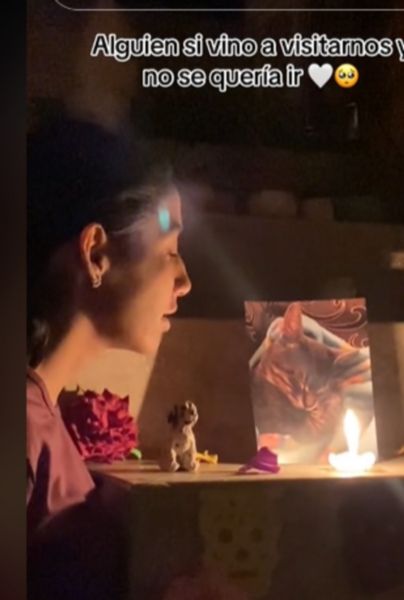 Chica no se puede despedir de su "michi" en su altar de muertos y el video se vuelve viral en TikTok (VIDEO). TIKTOK/@karenrdz1805
