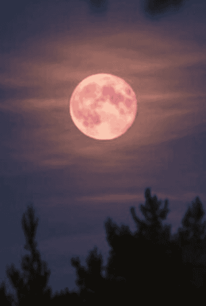 El martes 23 de abril, el cielo nocturno se iluminará con la hermosa Luna Rosa en México. PINTEREST